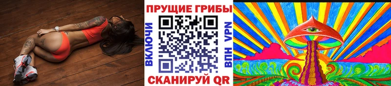Псилоцибиновые грибы мицелий где купить наркоту Кимры